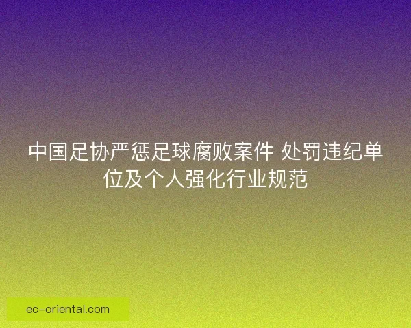 中国足协严惩足球腐败案件 处罚违纪单位及个人强化行业规范