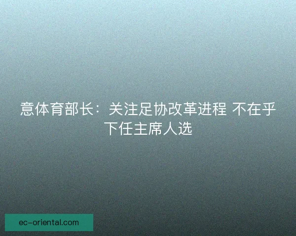 意体育部长：关注足协改革进程 不在乎下任主席人选