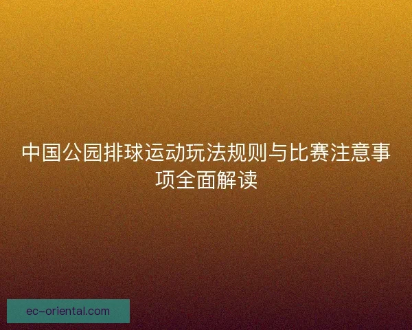 中国公园排球运动玩法规则与比赛注意事项全面解读