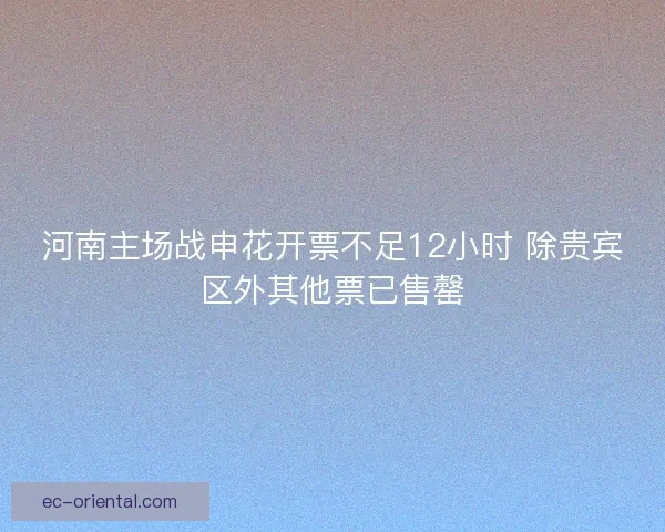 河南主场战申花开票不足12小时 除贵宾区外其他票已售罄