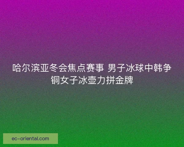 哈尔滨亚冬会焦点赛事 男子冰球中韩争铜女子冰壶力拼金牌
