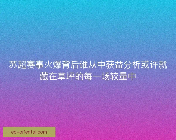苏超赛事火爆背后谁从中获益分析或许就藏在草坪的每一场较量中 苏超赛事火爆背后谁从中获益分析或许就藏在草坪的每一场较量中